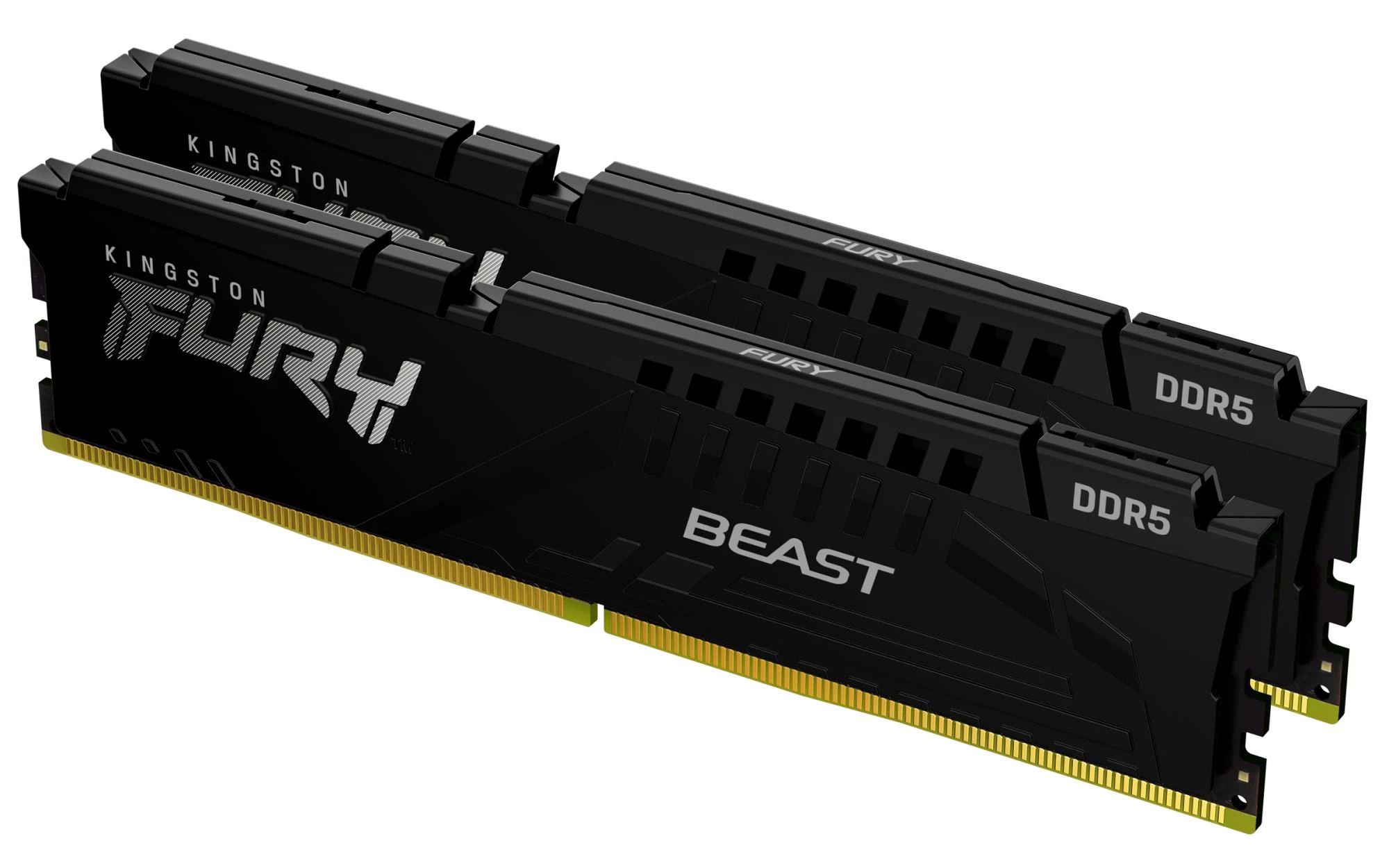 Kingston FURY Beast 32 Go (2×16 Go) DDR5-6000 CL36 Noir, kit EXPO